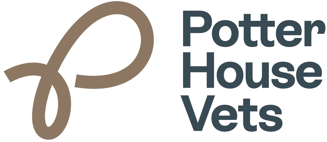 Potter House Vets